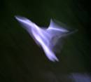 flight_1.JPG