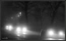 foglightsJ1W.jpg