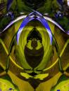 frog_leaf_abstract_dif_resize.jpg
