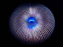 full_slinky_blue_light_resize.jpg