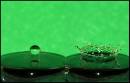 green_splash.jpg