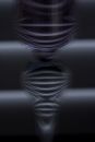 guess_1.jpg