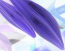 guess_2.jpg