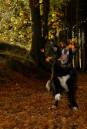 leaf_dancingImproved.jpg