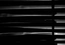lines_.jpg