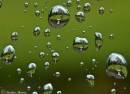 raindrop290208039.jpg