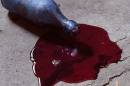 red-liquid-4-web.jpg