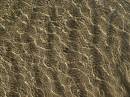 ripples1.jpg