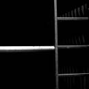 scaffold_.JPG