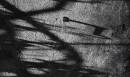 shadows_1.jpg