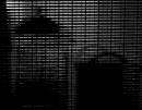 shadows_in_.JPG