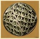 sized_flessen2circagecol_copy.JPG
