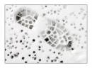 snowprint1.JPG