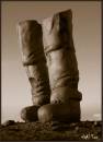 sure_footed.jpg