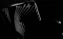 zebra_.JPG