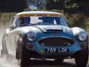 Austin_Healey_1_of_1_.JPG