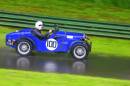 Blue_100.jpg