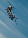 Chinook.jpg