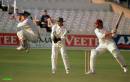 Cricket1_copy.jpg