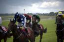 Curragh_123.jpg