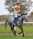 DOMTALINE_RUBY_WALSH.jpg