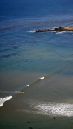 DSC03608.jpg