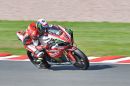 DSC_3502M1.jpg
