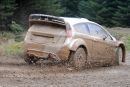Dirt_.jpg