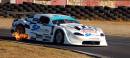 Hennie_Groenewald_-_Jaguar_4.JPG