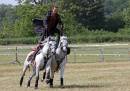 IMG_4569_edited-1.jpg