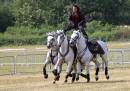 IMG_4581_edited-1.jpg