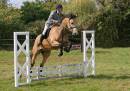IMG_6370-106-copy_edited-1.jpg
