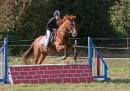 IMG_6409-145_edited-1.jpg