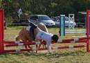 IMG_6441-177_edited-1.jpg