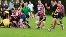 IMG_7998.jpg
