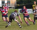 IMG_8367.jpg