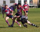 IMG_8371.jpg