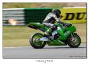 IMG_9530_EOS-1D_Mark_III_copy.jpg