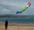 Kites-1.jpg