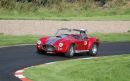 Michael_Taylor_Shelby_Cobra_427_s-c.jpg