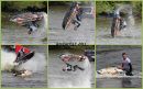 RIVERFEST_2011.jpg