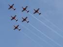Roulettes_resize.jpg