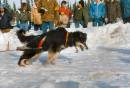Scan0015.jpg
