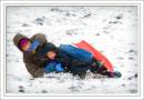 Sutton_Park_3859_copy2.jpg
