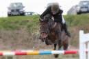 The_Flying_Horse-1.jpg