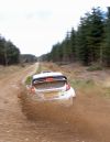 WRC-1.jpg