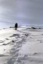 ballachulish_horshoe_approaching_first_summit.jpg