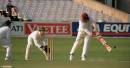 cricket2_copy.jpg