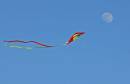 flying_high1.jpg