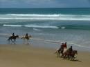 horse-riding_Aireys_Inlet.JPG